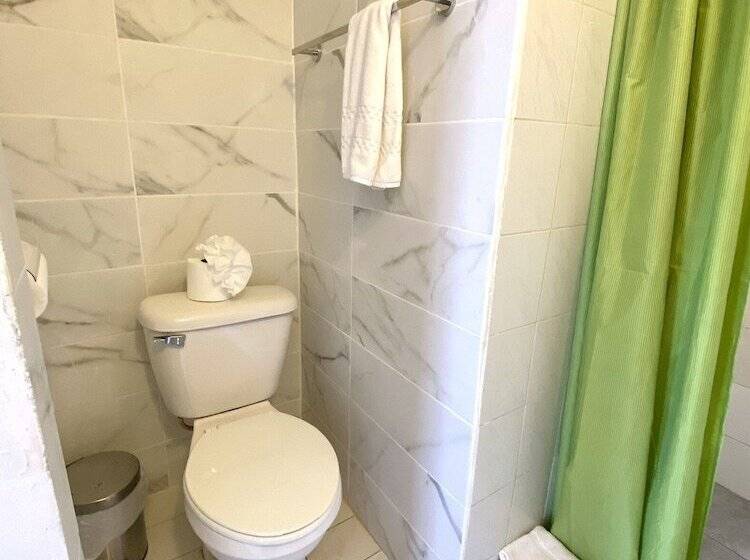 חדר סטודיו סטנדרד, Alegria