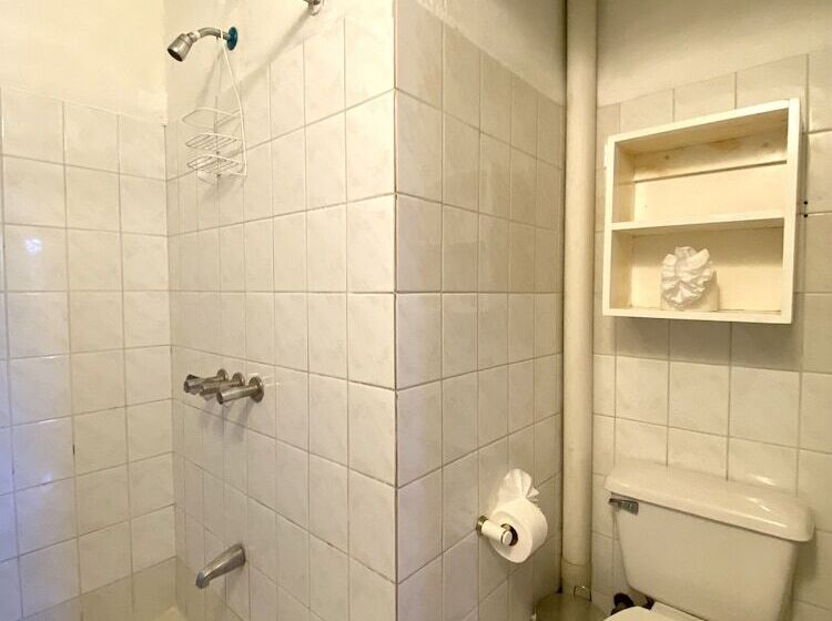 חדר סטודיו סטנדרד, Alegria