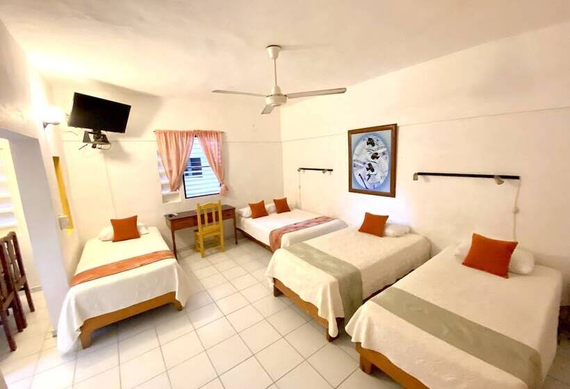 חדר סטנדרט, Alegria