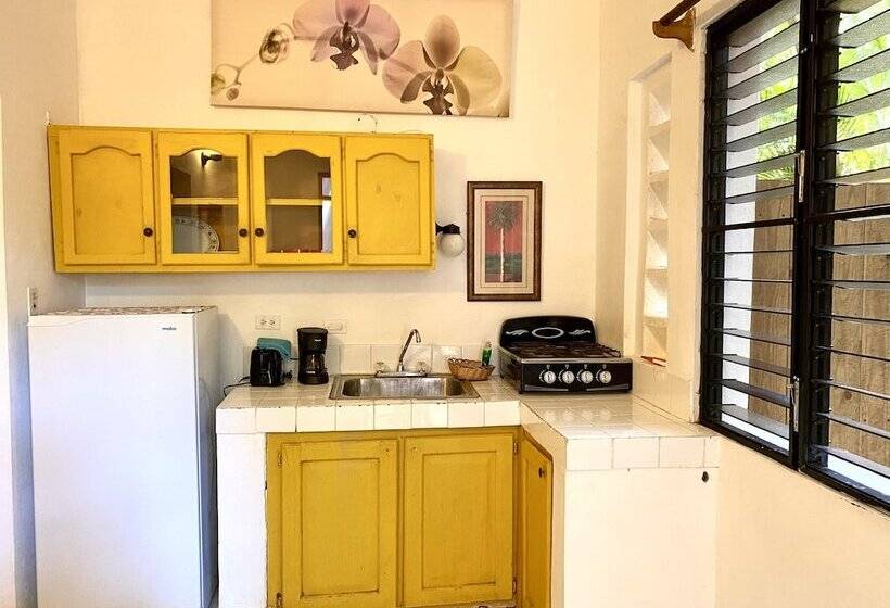 חדר סטנדרט, Alegria