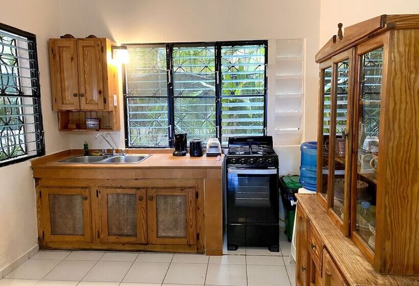 דירת שני חדרים, Alegria