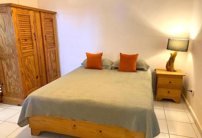 דירת שני חדרים, Alegria