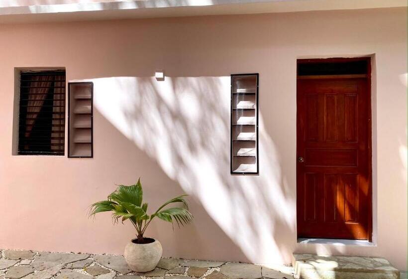 חדר סטודיו סטנדרד, Alegria