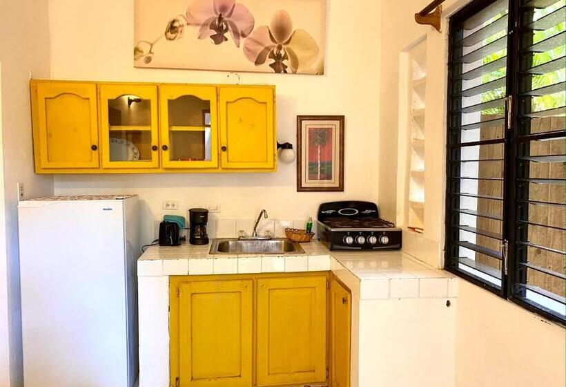 חדר סטודיו סטנדרד, Alegria