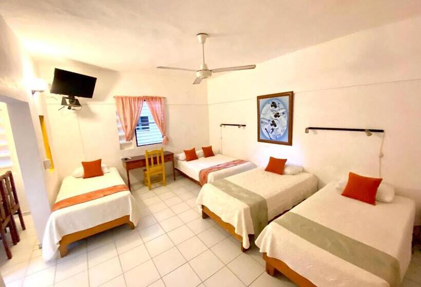 חדר סטודיו סטנדרד, Alegria