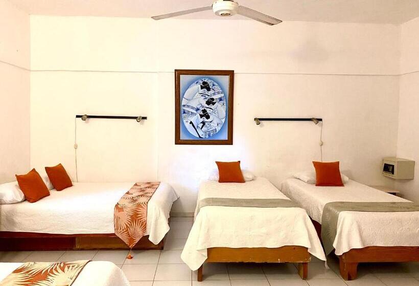 חדר סטודיו סטנדרד, Alegria