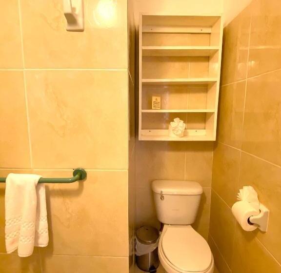 חדר סטודיו סטנדרד, Alegria