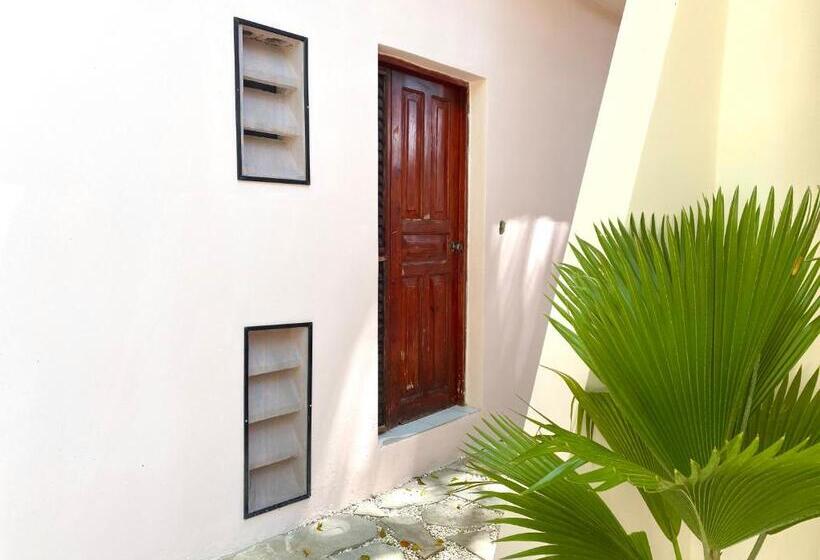 חדר סטודיו סטנדרד, Alegria