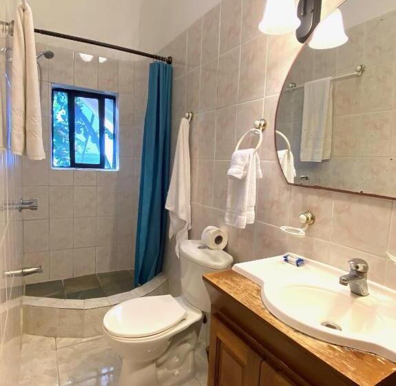 Apartamento 1 Dormitório Vista Mar, Alegria