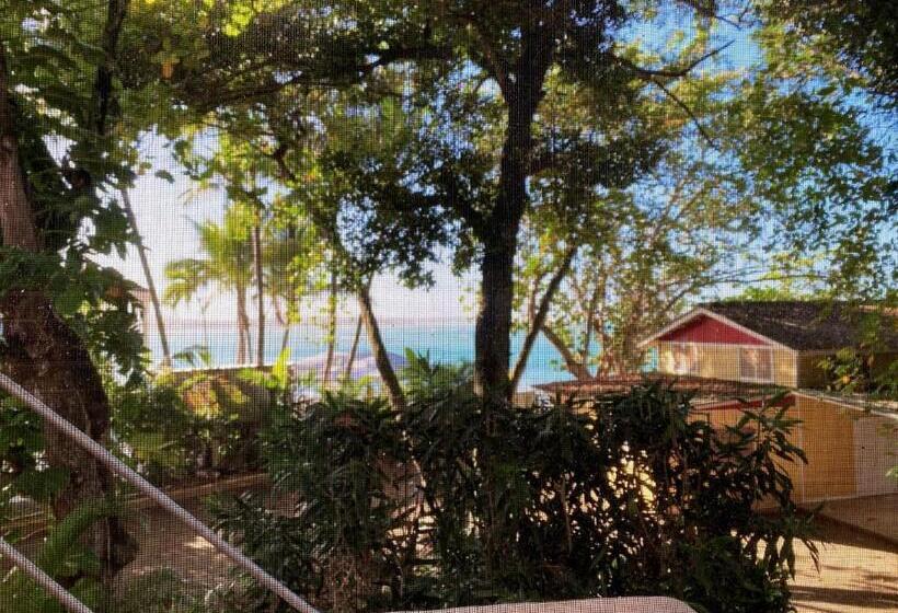 דירת חדר נוף לים, Alegria