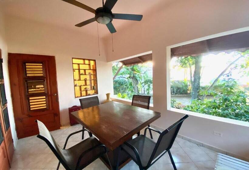 דירת חדר נוף לים, Alegria