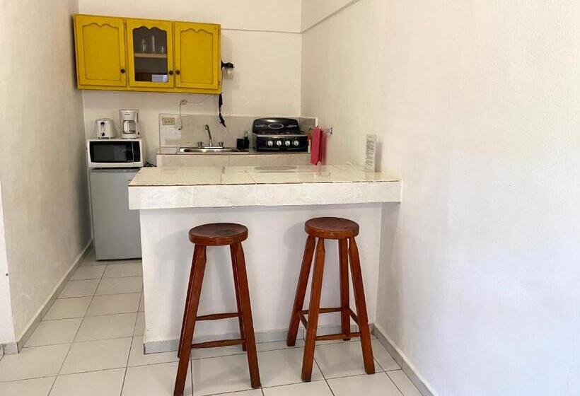 חדר סטודיו סטנדרד, Alegria