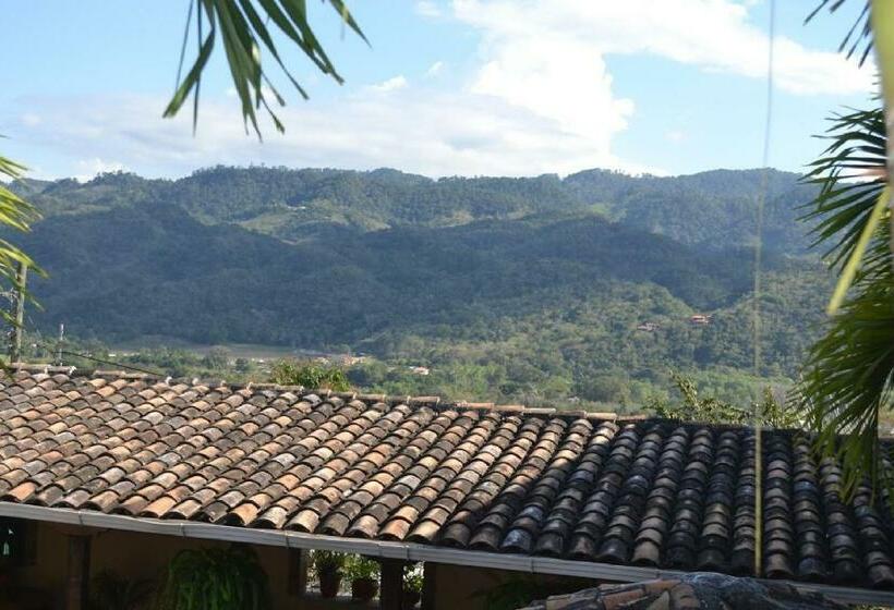 اتاق استاندارد یک نفره, Buena Vista