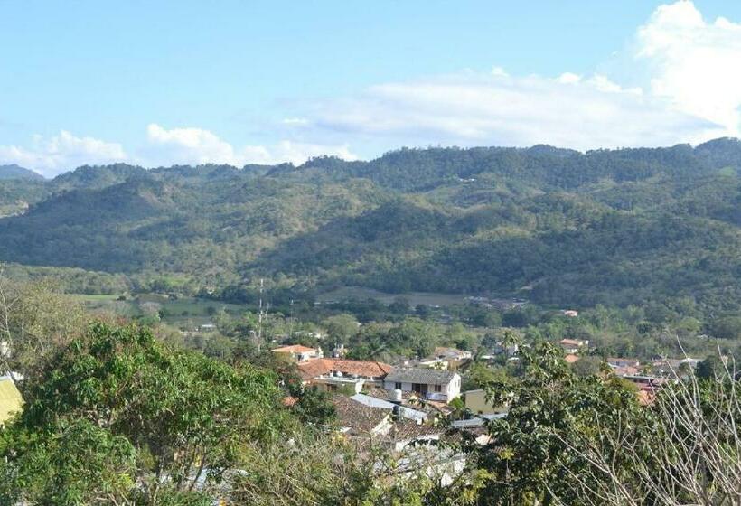 اتاق استاندارد, Buena Vista
