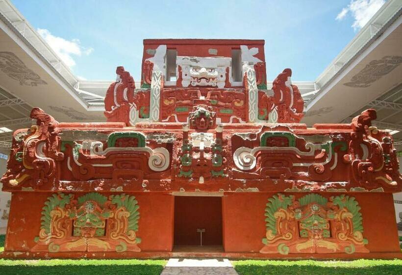 اتاق استاندارد یک نفره, Buena Vista