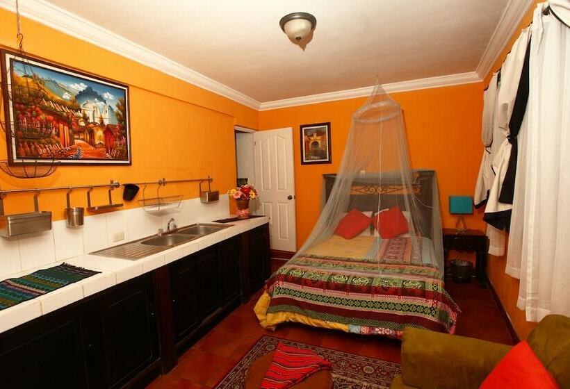 استودیوی لوکس, Casa Colonial Panasurf