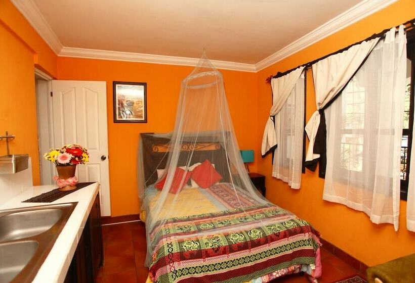 استودیوی لوکس, Casa Colonial Panasurf