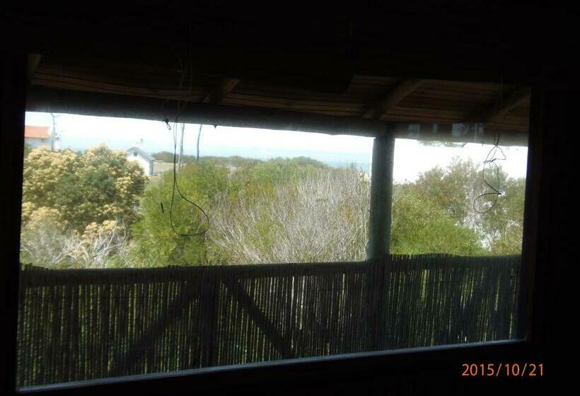 غرفة قياسية, El Refugio Nudista Naturista Opcional