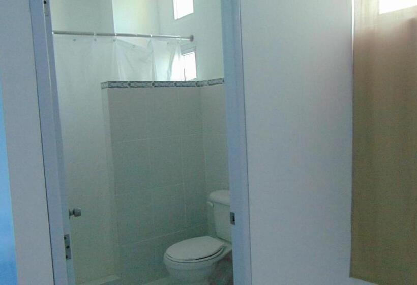 اتاق استاندارد سه نفره, Plaza Coral