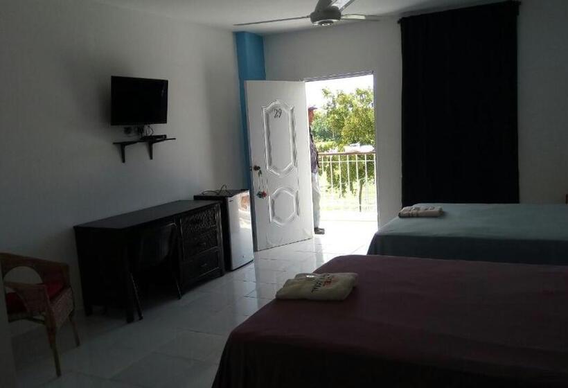 اتاق استاندارد سه نفره, Plaza Coral