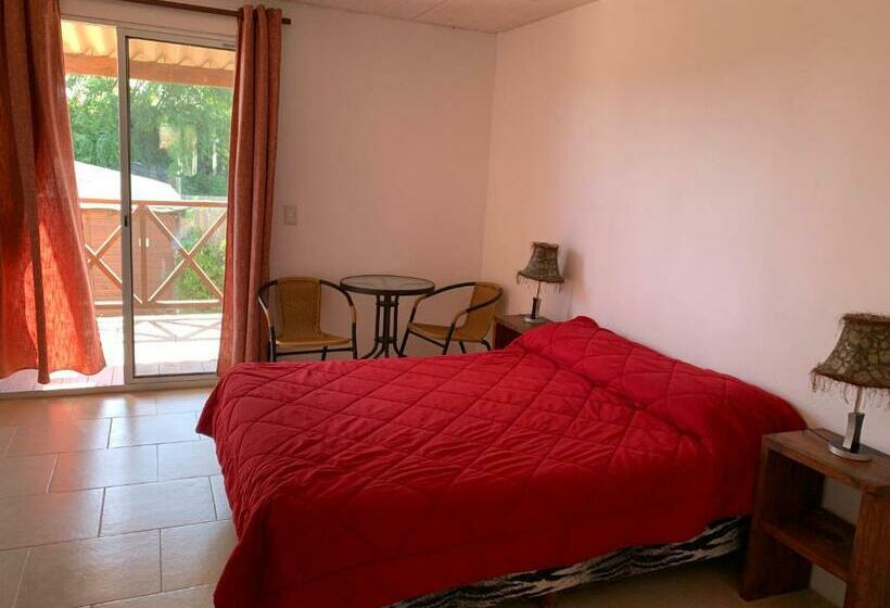 اتاق استاندارد, Posada Cova Del Sol