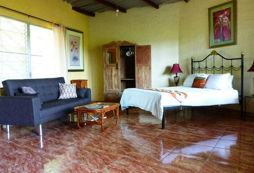 غرفة قياسية مطلّة علي حمام السباحة, The Golden Frog Inn