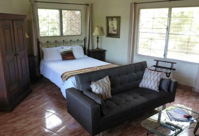 غرفة قياسية مطلّة علي حمام السباحة, The Golden Frog Inn