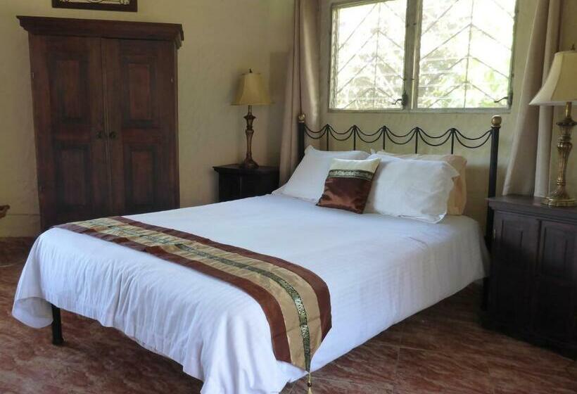 غرفة قياسية مطلّة علي حمام السباحة, The Golden Frog Inn