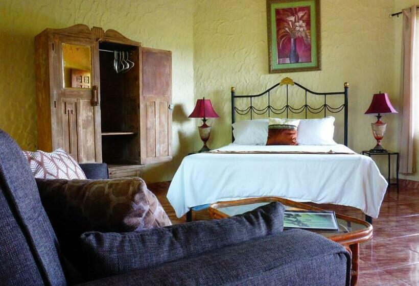 غرفة قياسية مطلّة علي حمام السباحة, The Golden Frog Inn