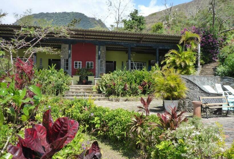 غرفة قياسية مطلّة علي حمام السباحة, The Golden Frog Inn