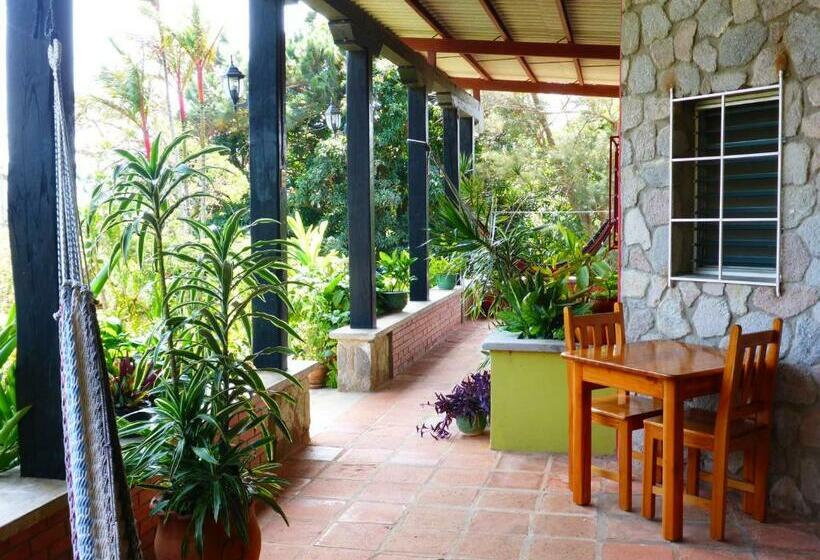 غرفة قياسية مطلّة علي حمام السباحة, The Golden Frog Inn