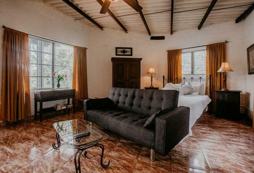 غرفة قياسية مطلّة علي حمام السباحة, The Golden Frog Inn