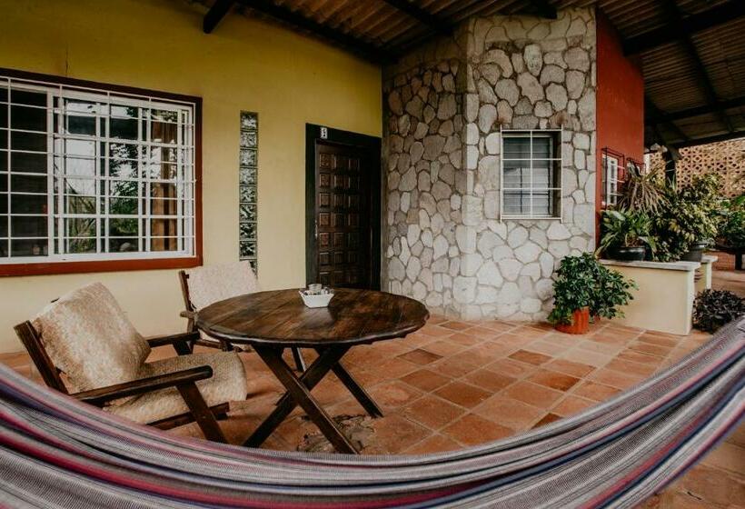 غرفة قياسية مطلّة علي حمام السباحة, The Golden Frog Inn