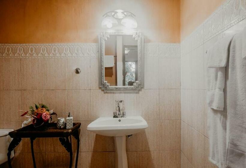 غرفة قياسية, The Golden Frog Inn