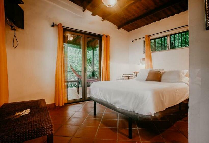 غرفة قياسية, The Golden Frog Inn