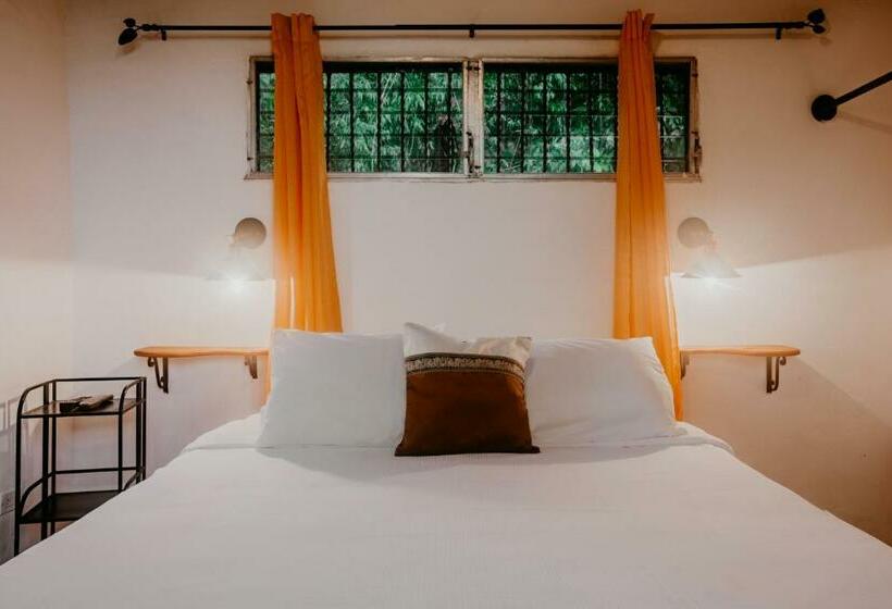 غرفة قياسية, The Golden Frog Inn