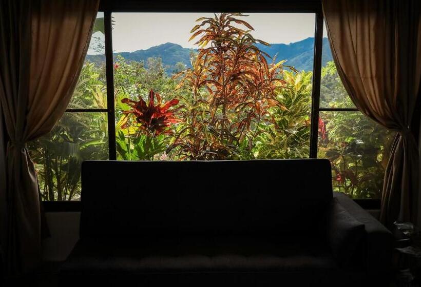 غرفة قياسية مطلّة علي الحديقة, The Golden Frog Inn