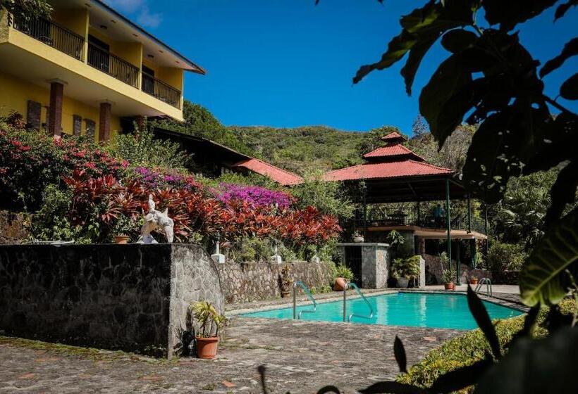 Номер Стандарт Вид на Сад, The Golden Frog Inn