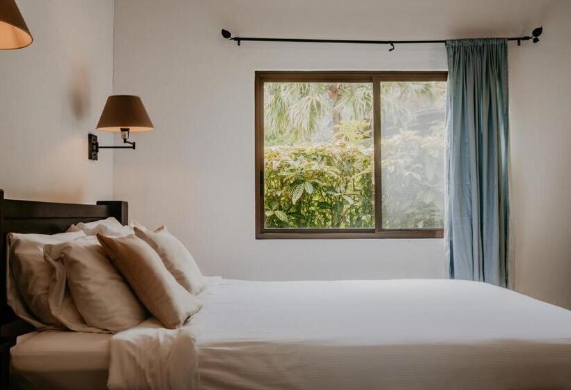 غرفة قياسية مطلّة علي الحديقة, The Golden Frog Inn