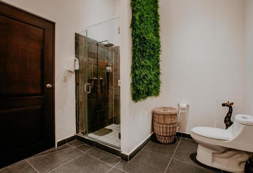 غرفة قياسية مطلّة علي الحديقة, The Golden Frog Inn