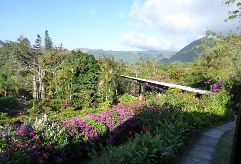 غرفة قياسية سرير كينج, The Golden Frog Inn