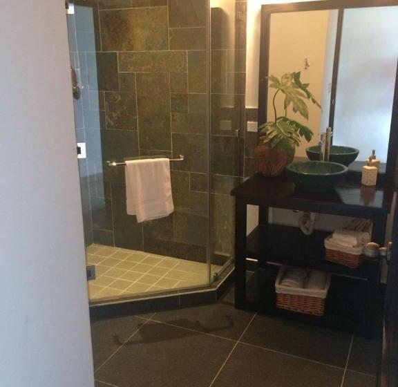 غرفة قياسية سرير كينج, The Golden Frog Inn