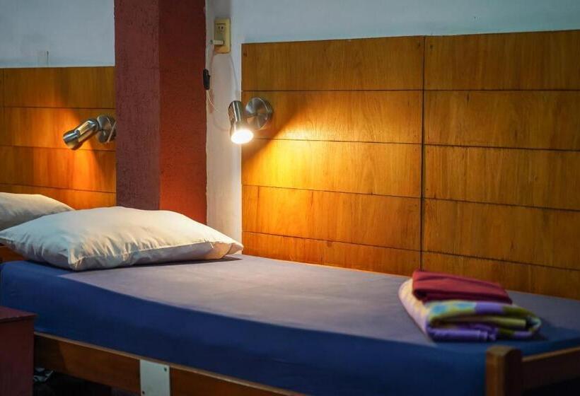 تختخواب در اتاق مشترک, Nomada Hostel