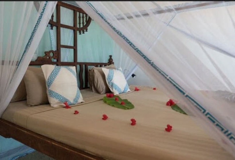 オーシャンビューのスタンダードバンガロー, Reef & Beach Resort   Spa Jambiani