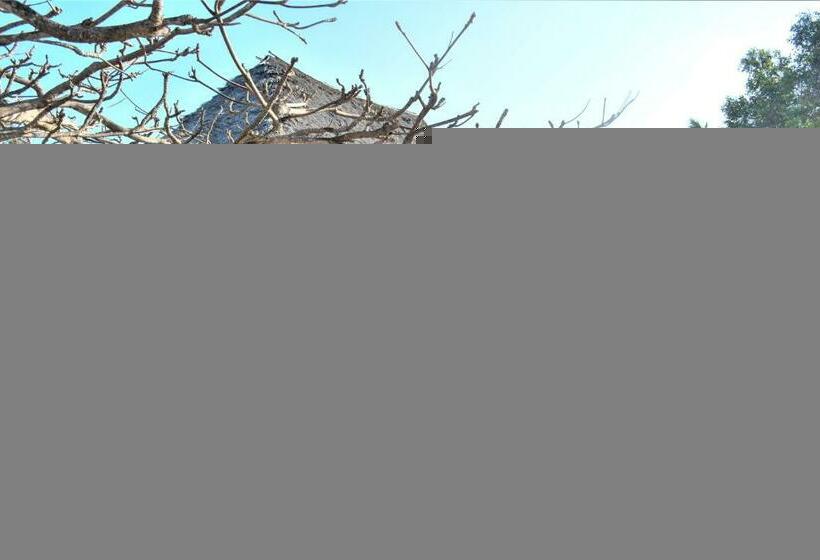 スタンダードルーム, Reef & Beach Resort   Spa Jambiani