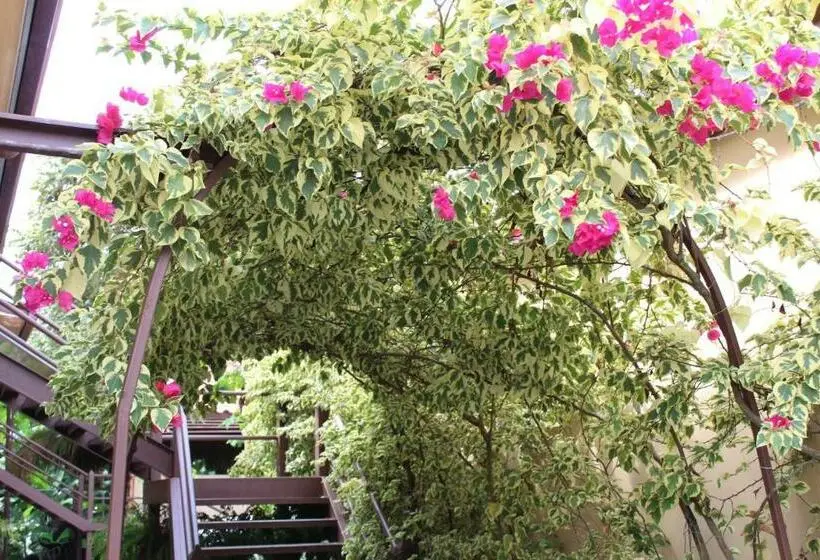 اتاق استاندارد, Roxy S Bed & Breakfast