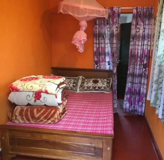 Номер Economy Индивидуальный, B.rose House