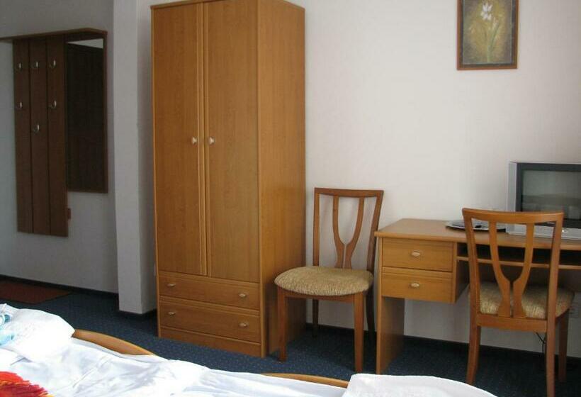 غرفة قياسية, Alpenhof Pansion