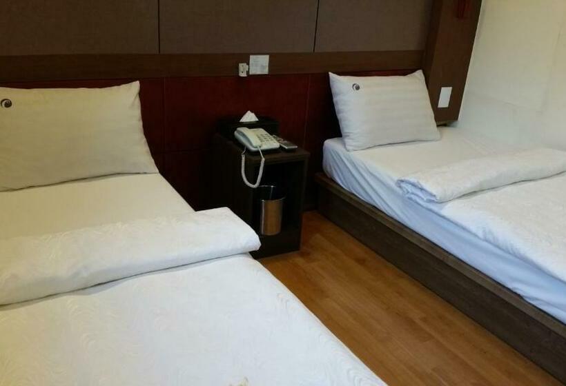 스탠다드 룸, Coups