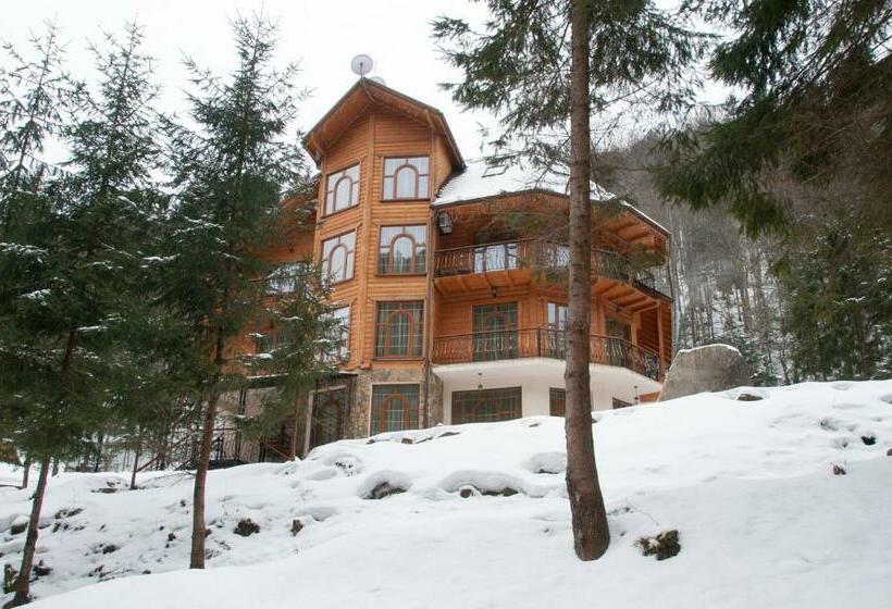 اتاق استاندارد, Dykyi Med